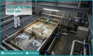 Giải pháp xử lý nước thải thủy sản – Môi Trường Toàn Tâm