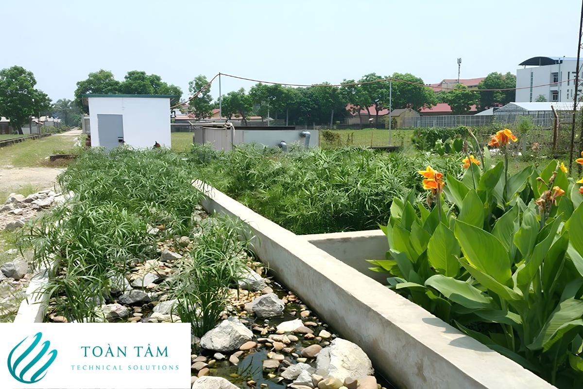 Xử lý nước thải sinh hoạt bằng bãi lọc trồng cây