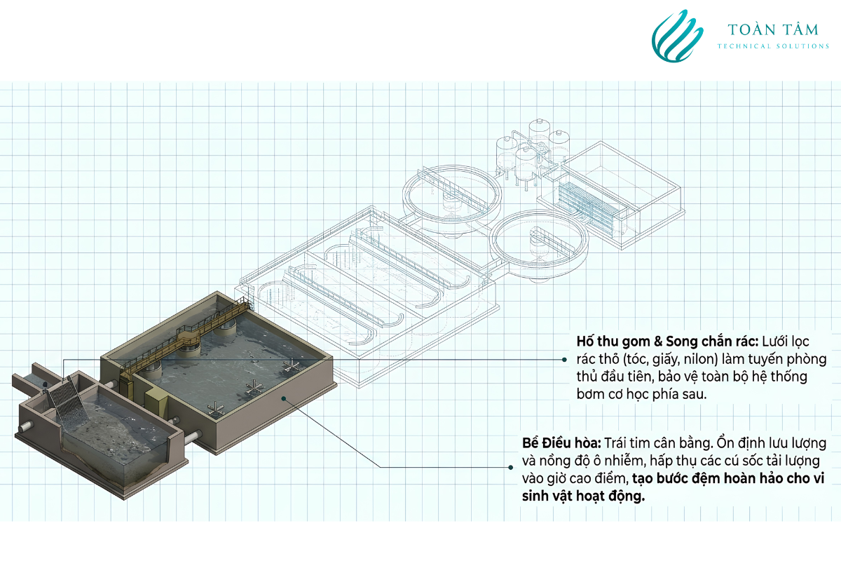 Chức năng các bể, hồ