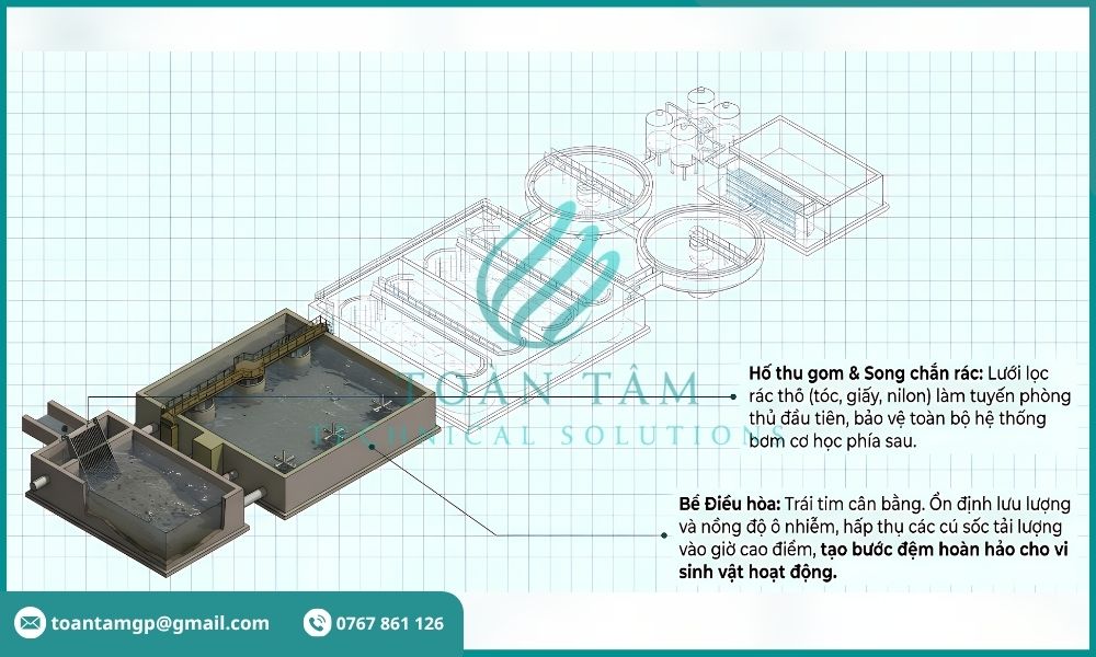 Chức năng các bể
