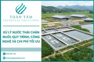 Xử lý nước thải chăn nuôi: Quy trình, công nghệ và chi phí tối ưu