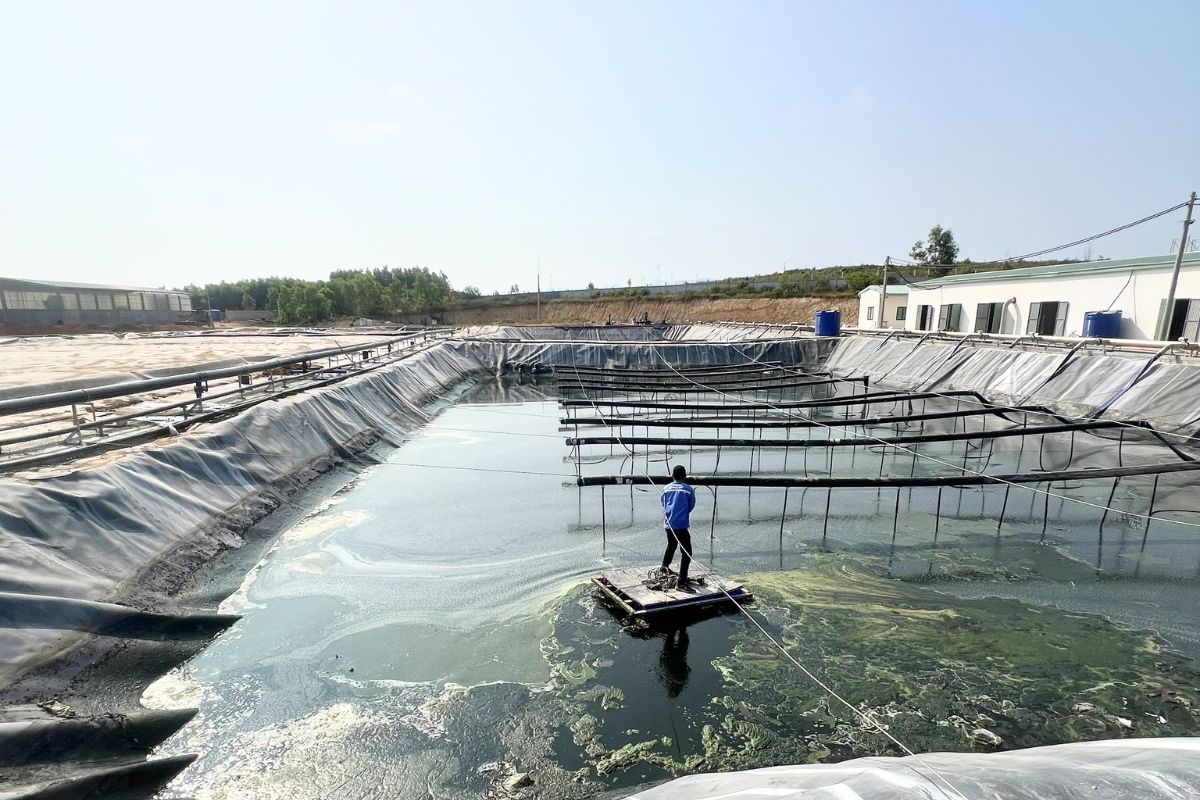 Toàn Tâm cung cấp dịch vụ xử lý nước thải