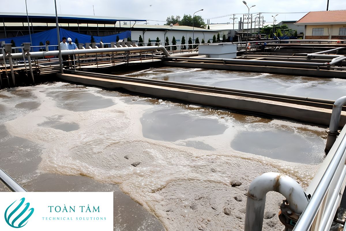 Xử lý bùn thải là việc làm quan trọng