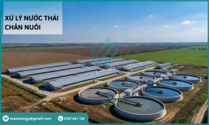 Xử lý nước thải chăn nuôi: Quy trinh, công nghệ và chi phí tối ưu