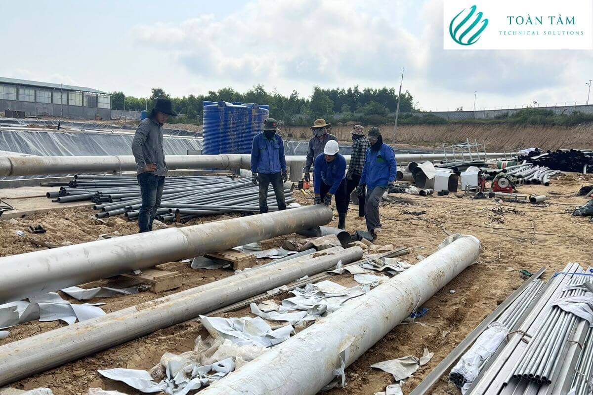 Xử lý nước thải từ chăn nuôi gia súc