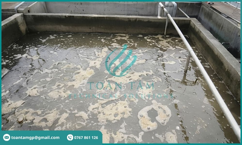 Bể chứa nước thải tại cơ sở giết mổ gia súc