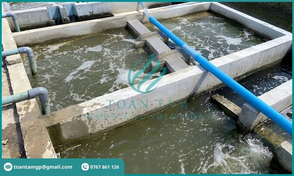 Bể xử lý nước thải nuôi tôm