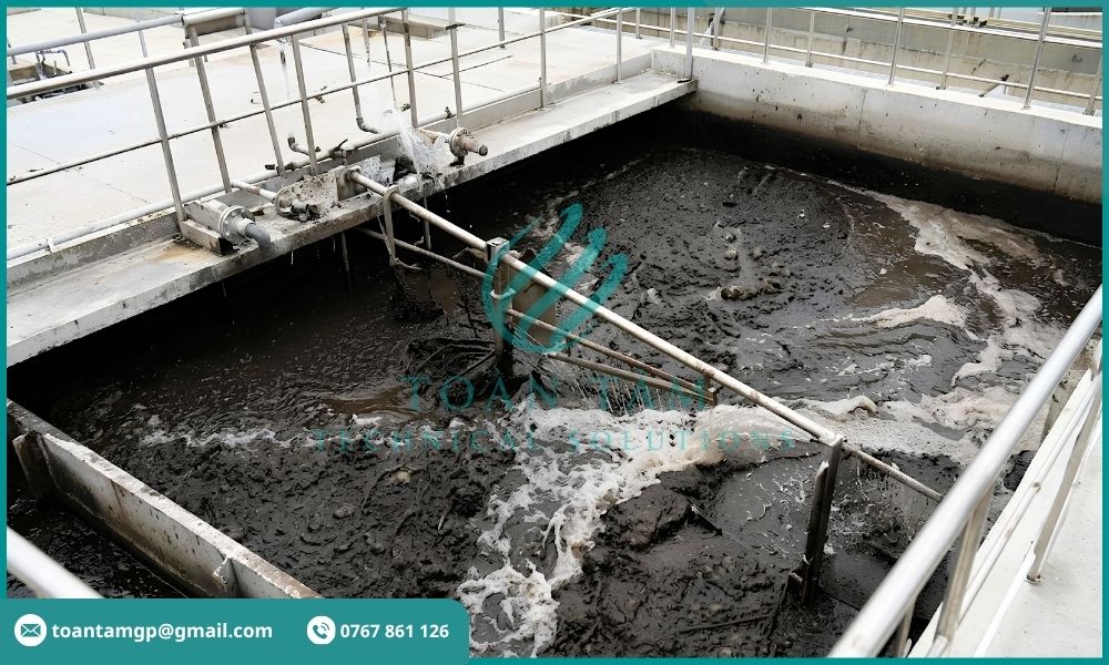 Bùn được thu gom và xử lý