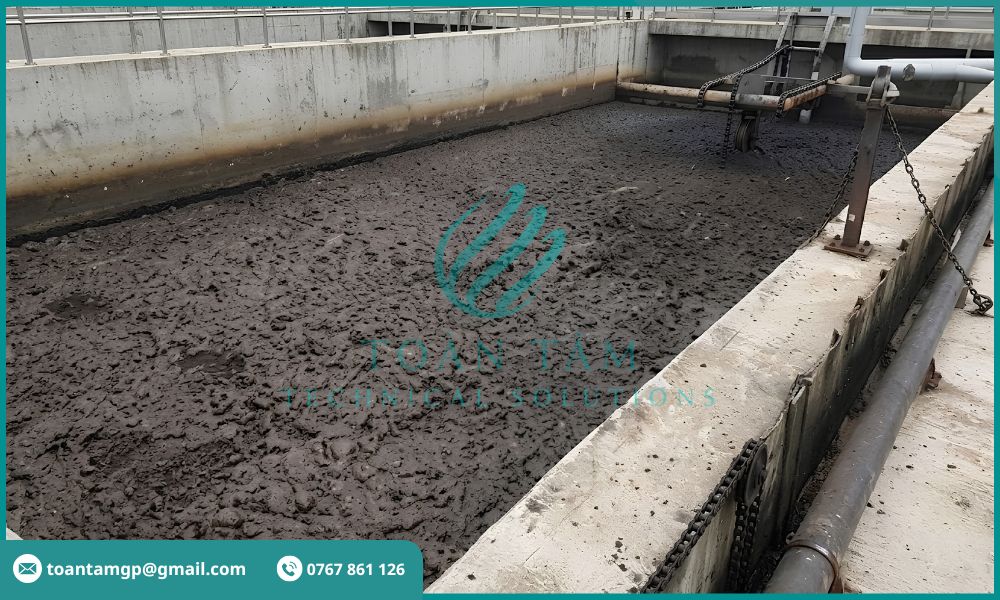 Bùn tích tụ lâu ngày sinh mùi