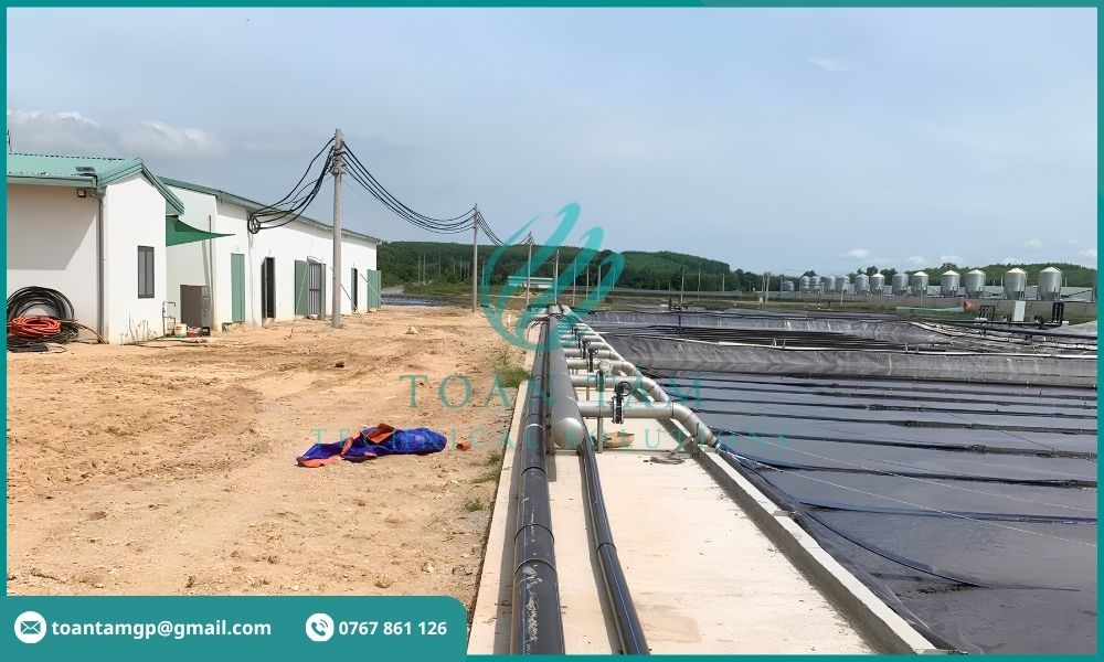 Đảm bảo hệ thống vận hành ổn định khi xử lý