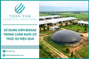 Hầm biogas trong chăn nuôi