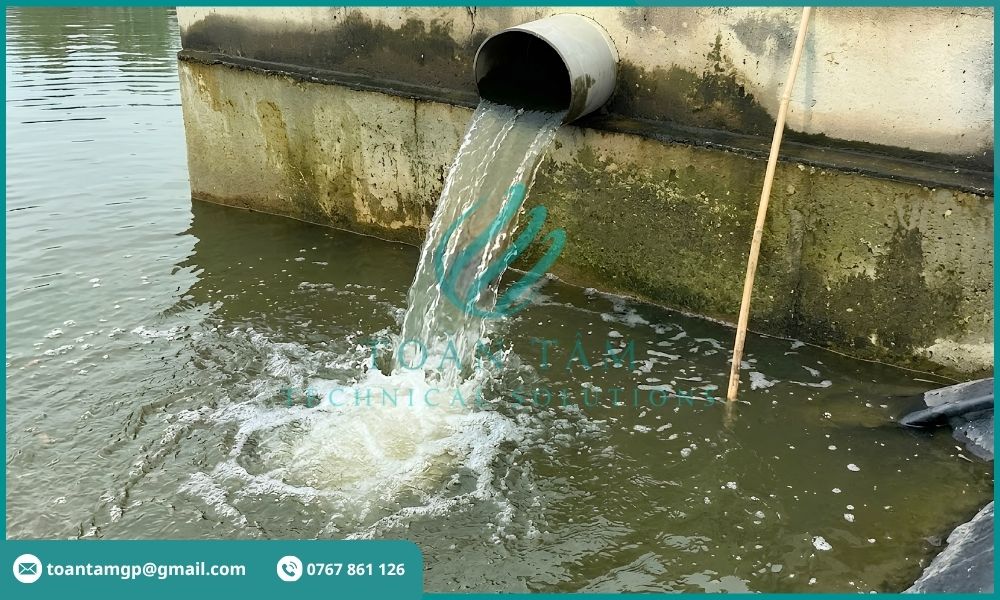 Nước thải nuôi tôm sau xử lý