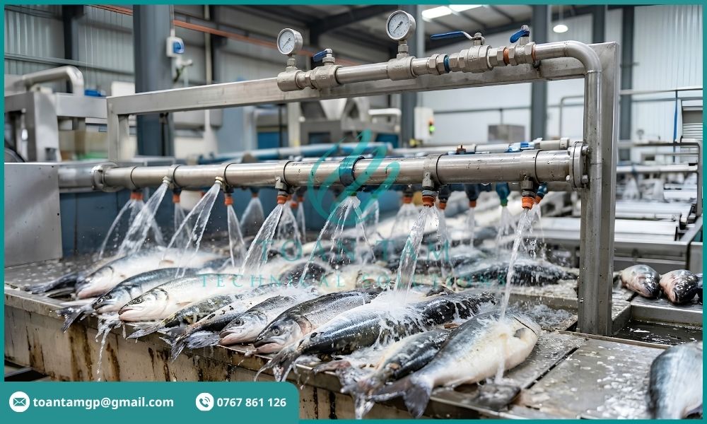 Nước thải từ hoạt động chế biến cá