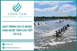 Quy trình xử lý nước thải nuôi tôm chi tiết