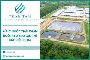 Toàn cảnh hệ thống xử lý nước thải chăn nuôi heo