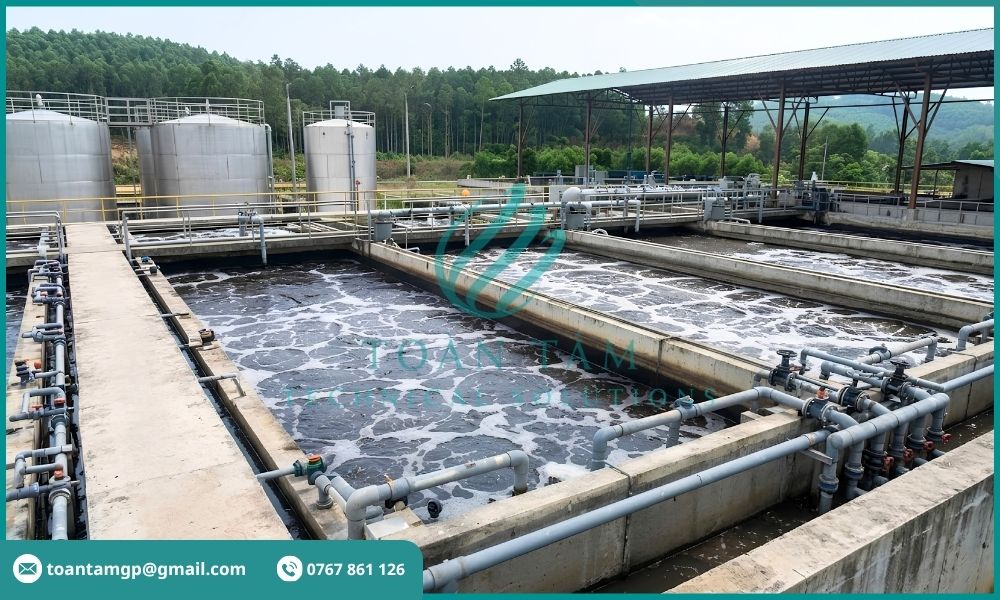 Xử lý nước thải chăn nuôi heo tại trang trại