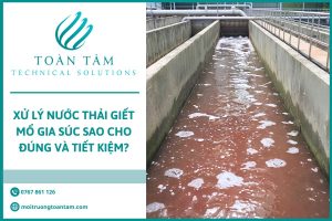 Xử Lý Nước Thải Giết Mổ Gia Súc Sao Cho Đúng Và Tiết Kiệm?