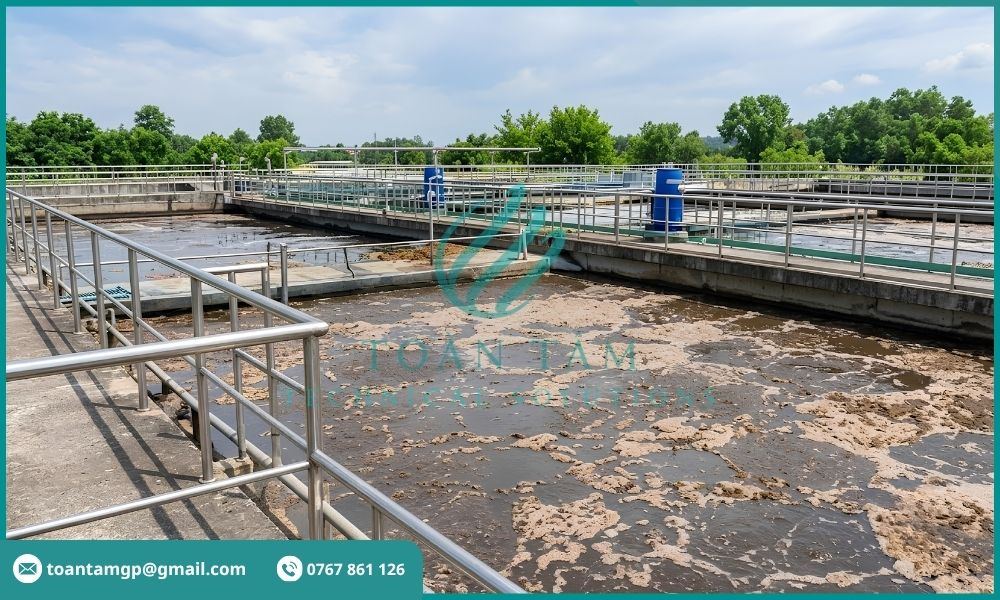 Bùn nổi trên hệ thống xử lý nước thải