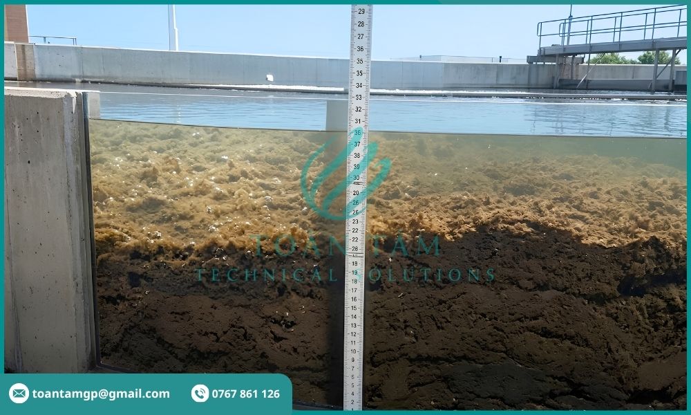 Chiều dày lớp bùn đáy bể lắng cao