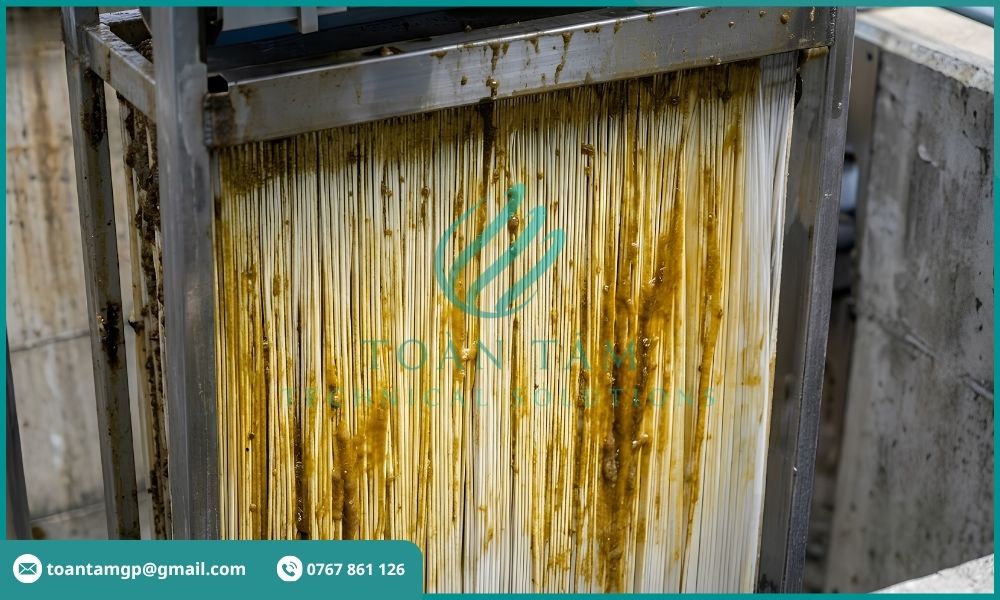 Dầu mỡ bám trên bề mặt màng