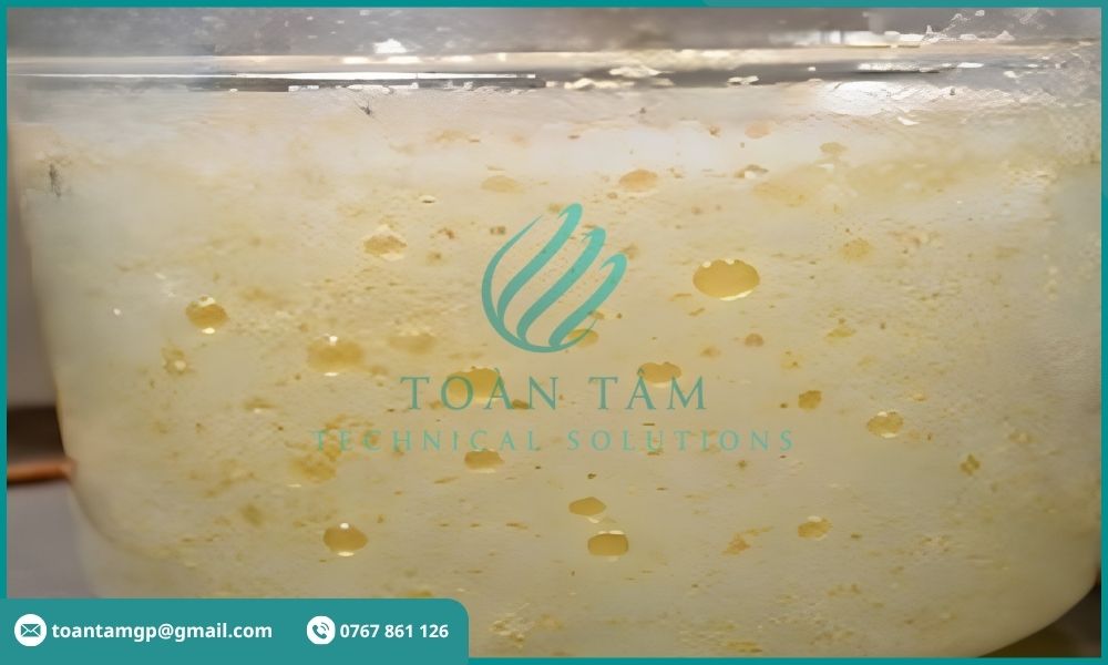 Dầu mỡ bị phân tán và nhũ hóa trong nước