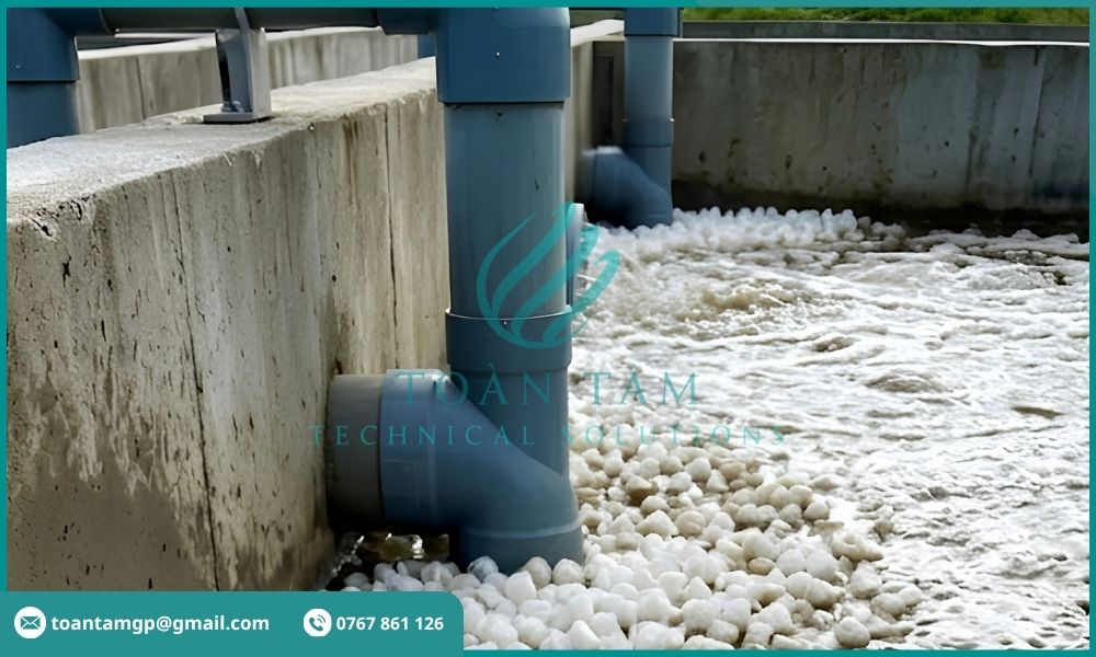 Giá thể tập trung thành các cụm lớn trong bể