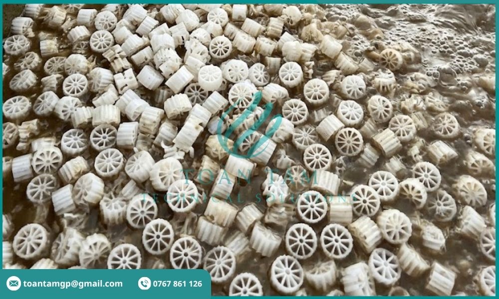 Giá thể vi sinh trong bể sinh học MBBR