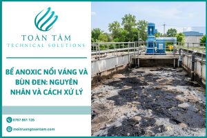 Nguyên nhân khiến bể Anoxic nổi váng và bùn đen
