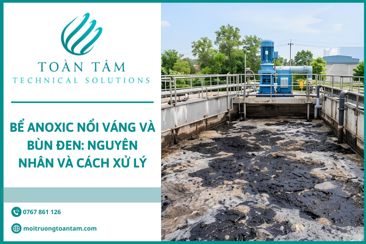 Nguyên nhân khiến bể Anoxic nổi váng và bùn đen