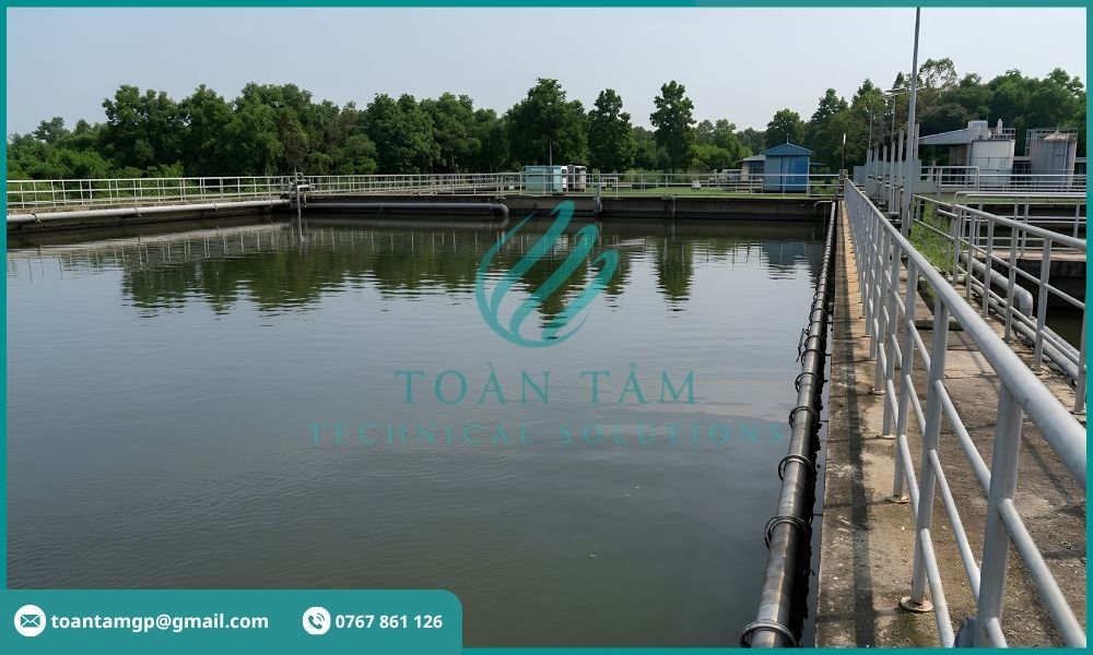 Nước đầu ra trong nhưng SV30 liên tục tăng