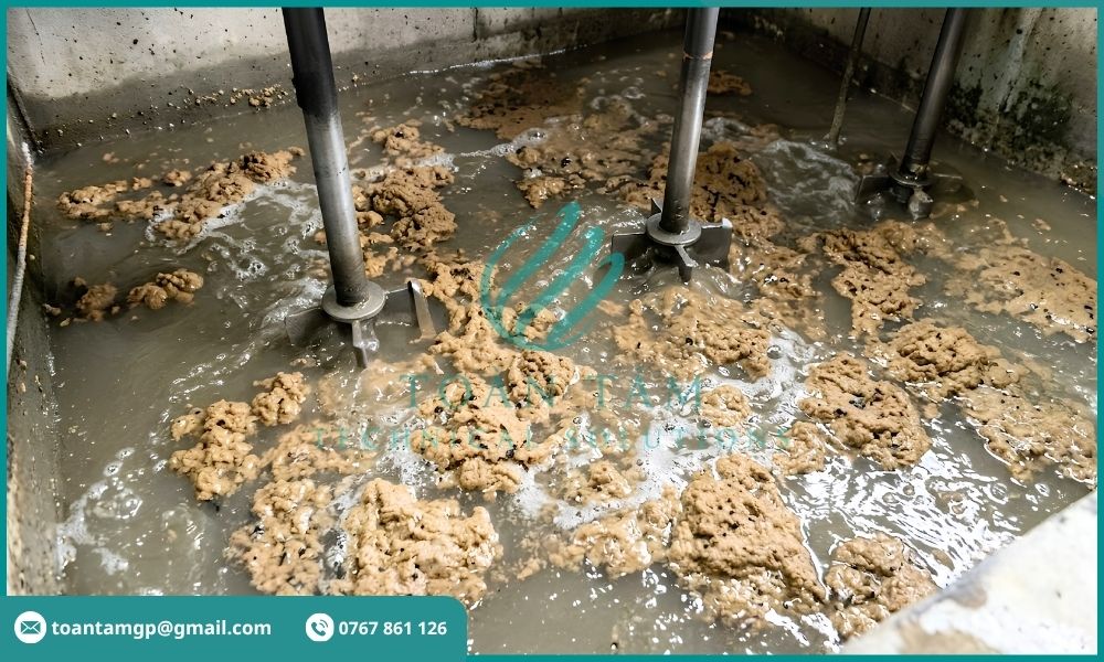 Quá trình keo tụ và tạo bông