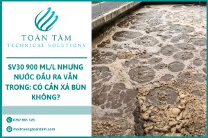 SV30 900 mL/L nhưng nước đầu ra vẫn trong