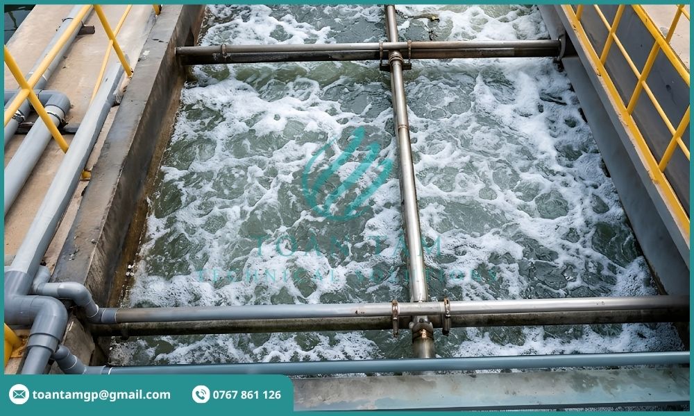 Lòng bể DAF nhìn từ trên xuống