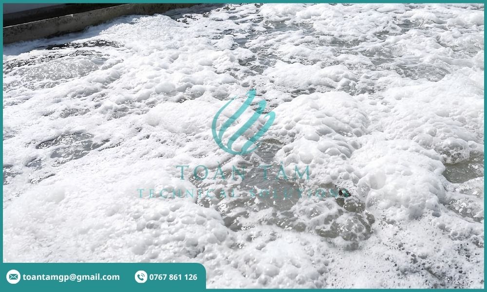 Vi bọt hình thành trên bề mặt bể